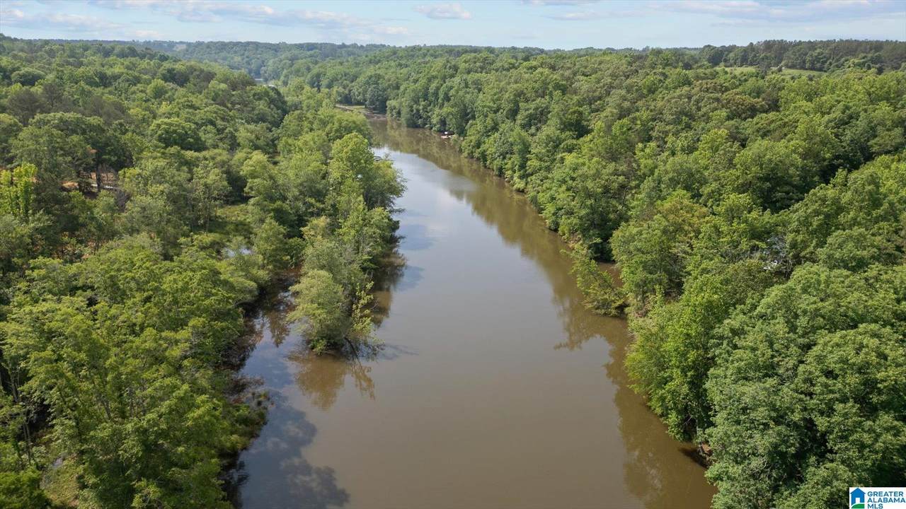 1461 County Road 499 - Photo 1