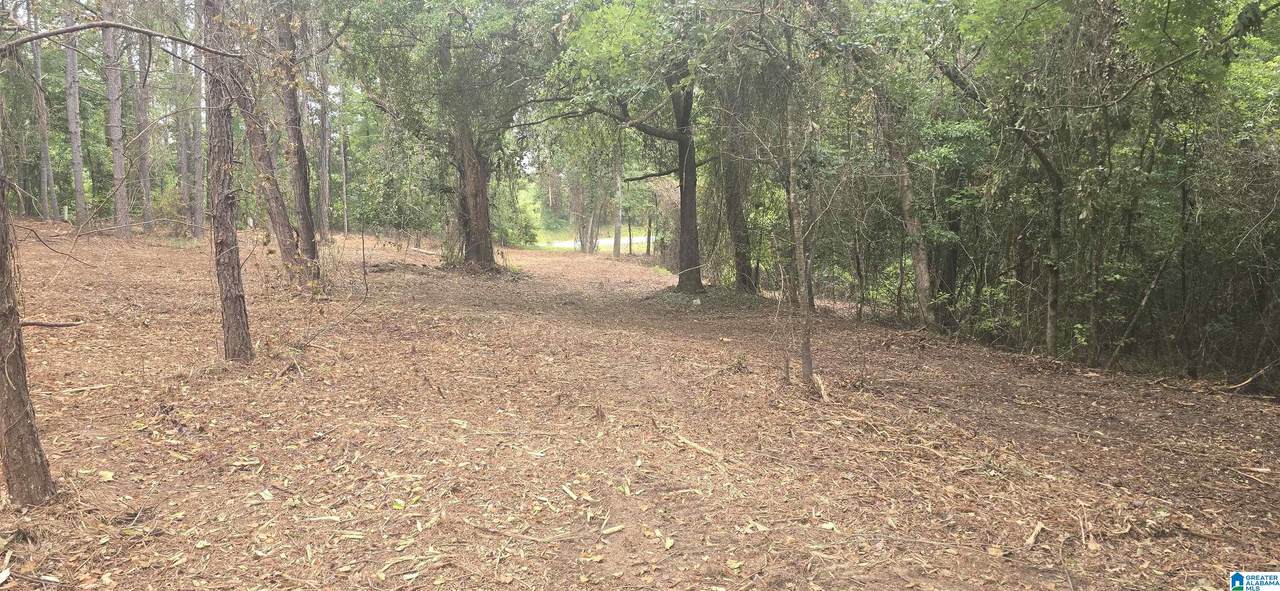 https://bt-photos.global.ssl.fastly.net/birmingham/1280_boomver_1_21455555-2.jpg