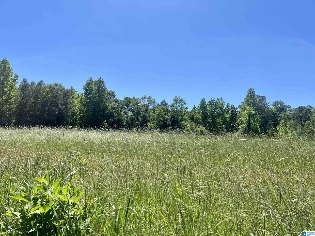 0 County Road 7 - Photo 1