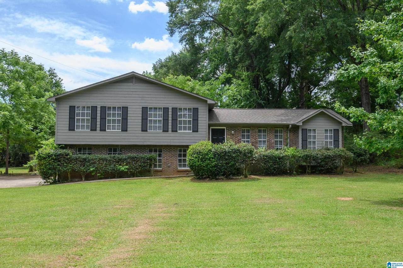 101 Shady Lane - Photo 1
