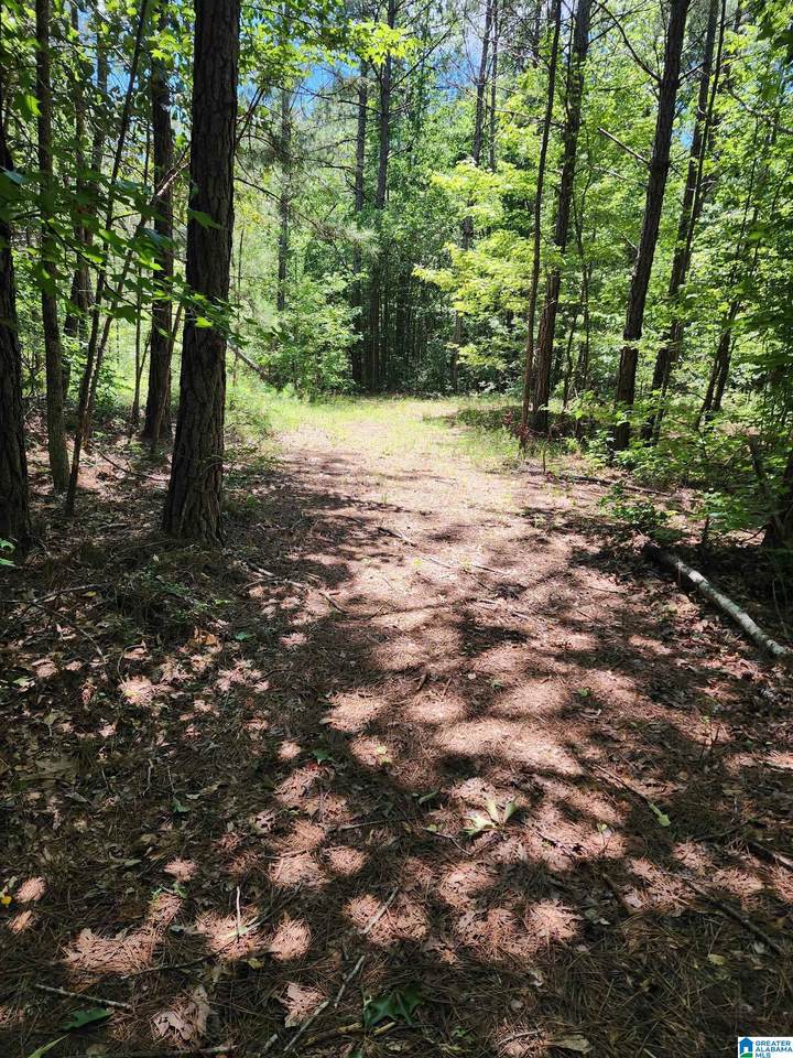 7218 County Road 26 - Photo 1