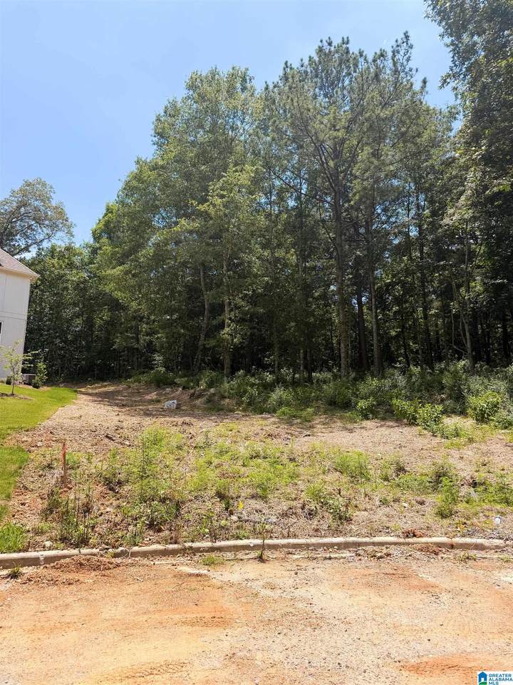 248 Mountain Lake Trail - Photo 1