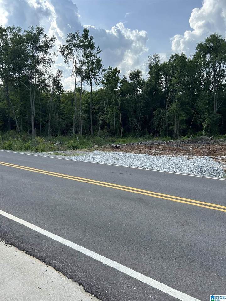 1685 Opp Reynolds Road - Photo 1