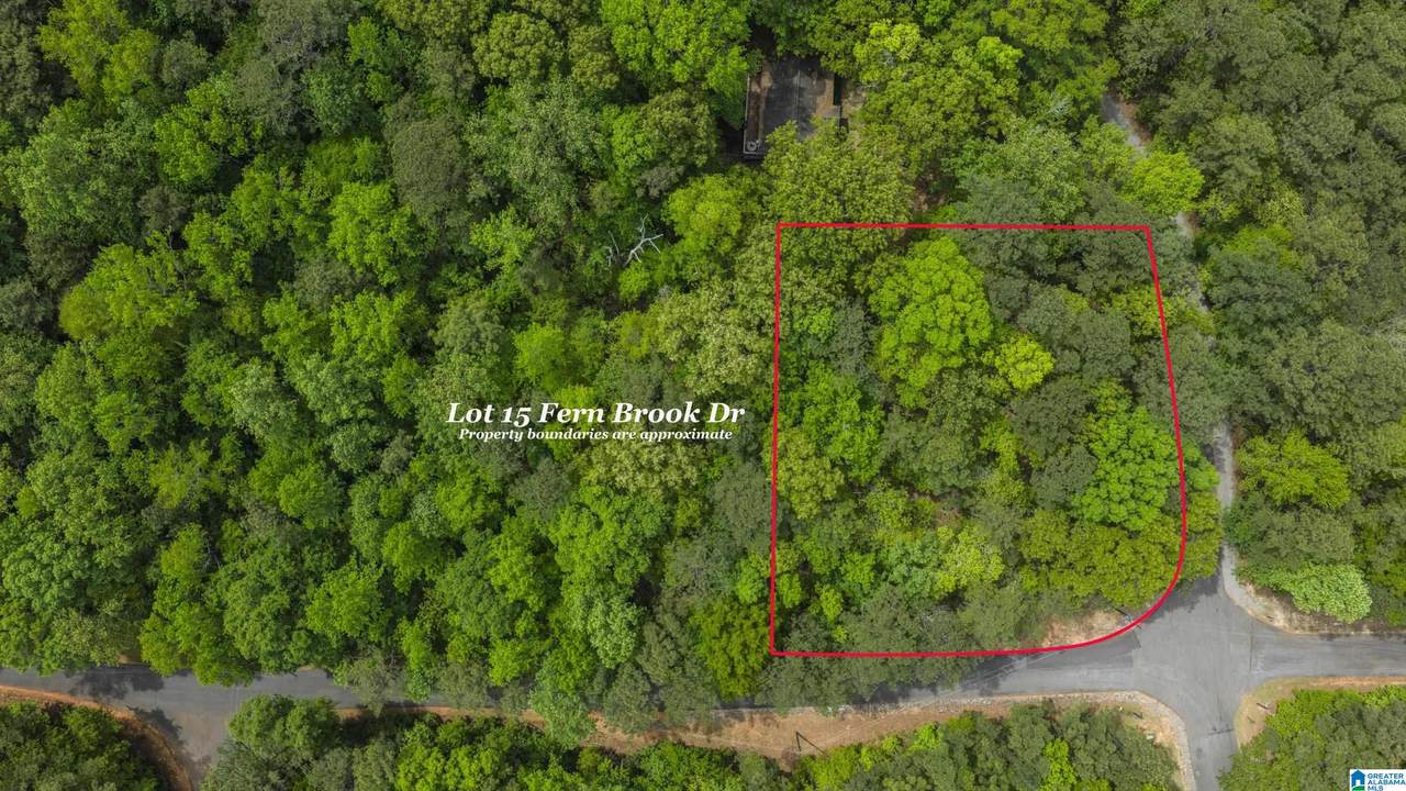 Lot 15 Fern Brook Drive - Photo 1