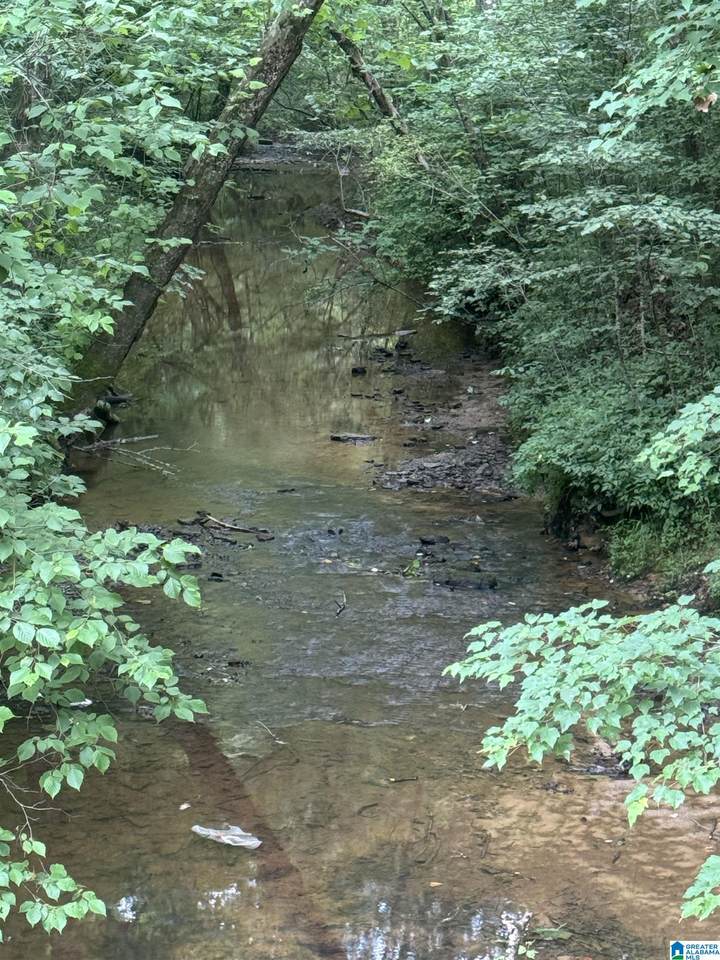 17 ACRES Highway 144 - Photo 1