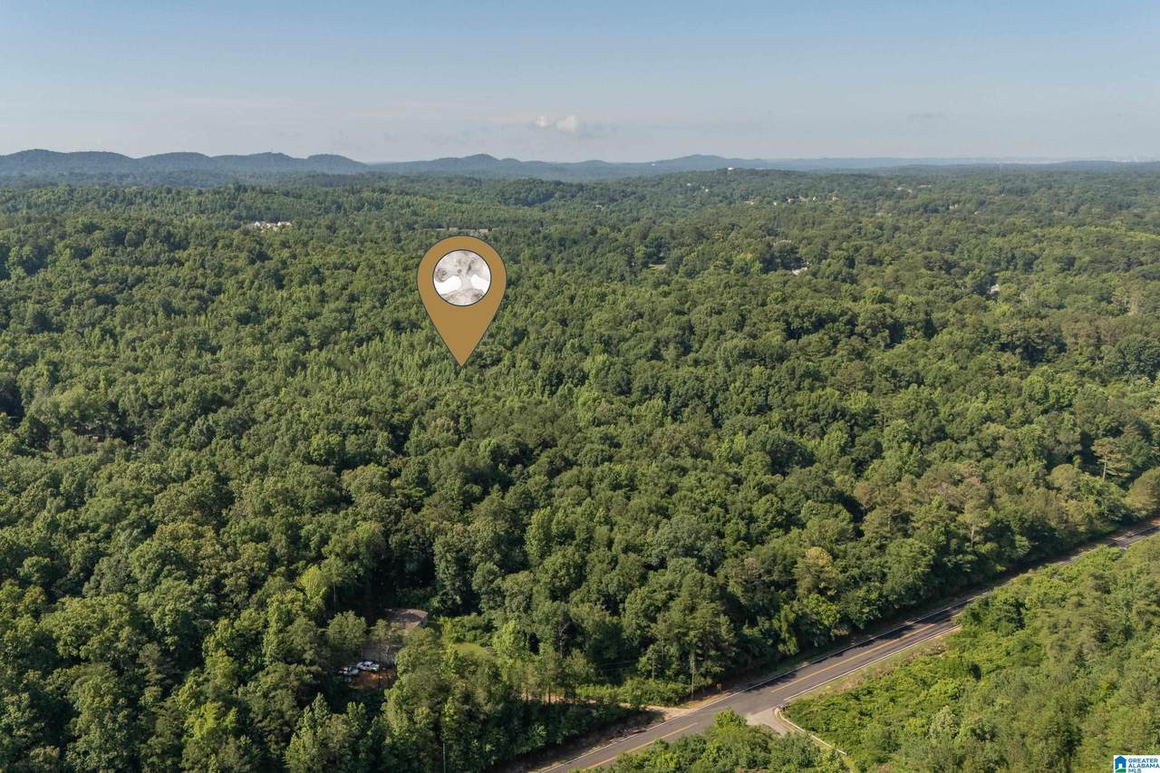 4861 Grist Mill Road - Photo 1