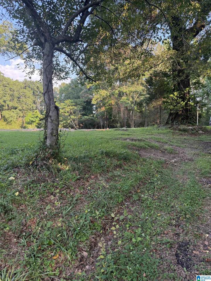 937 Morris Majestic Road - Photo 1
