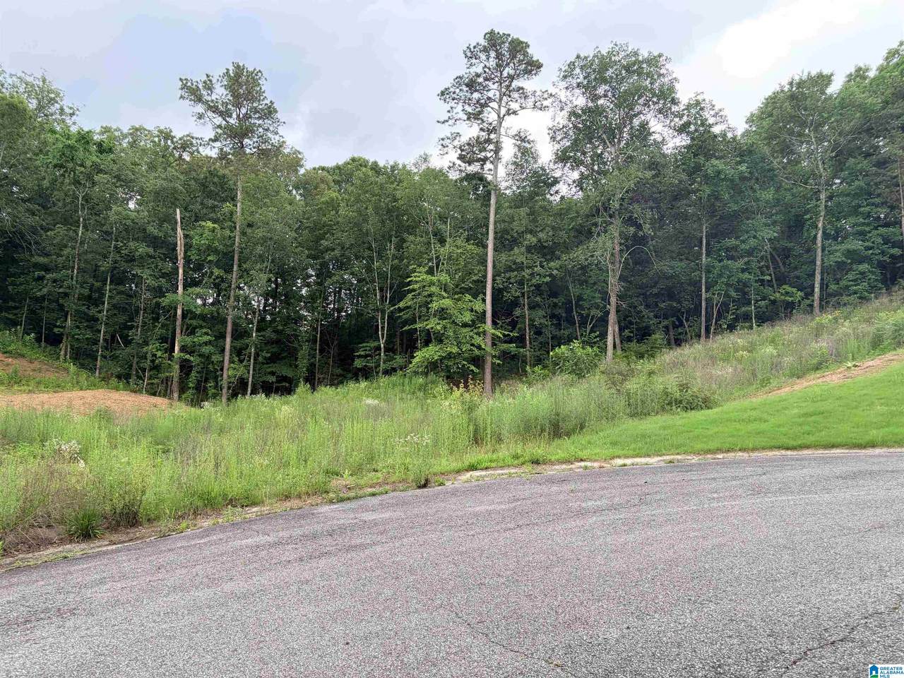 905 Calvary Crossings - Photo 1