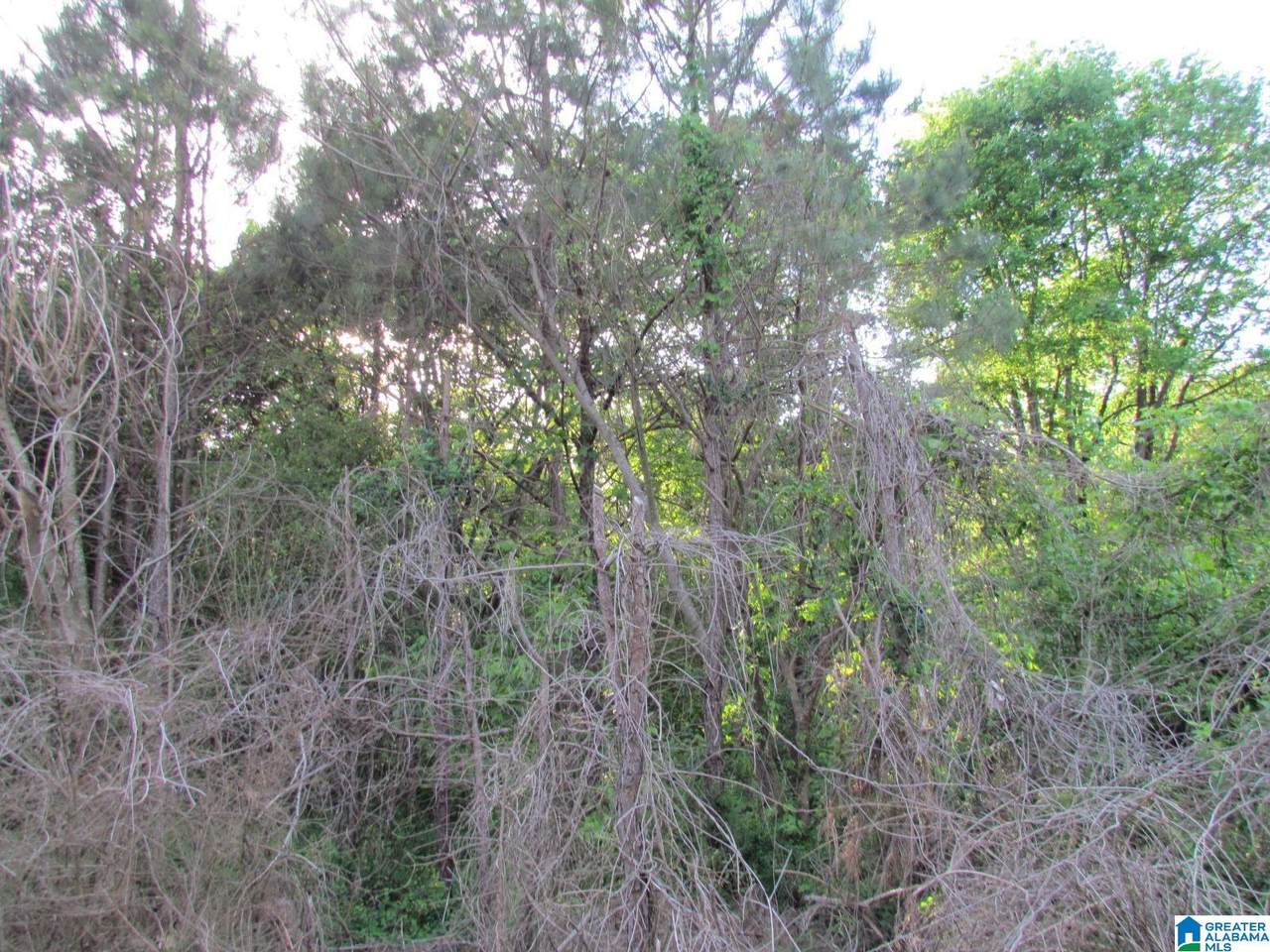 0 Highway 27 - Photo 1