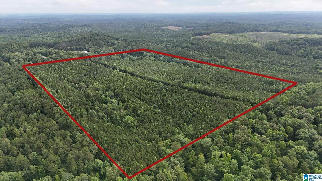 0 Skyview Lake Road - Photo 1