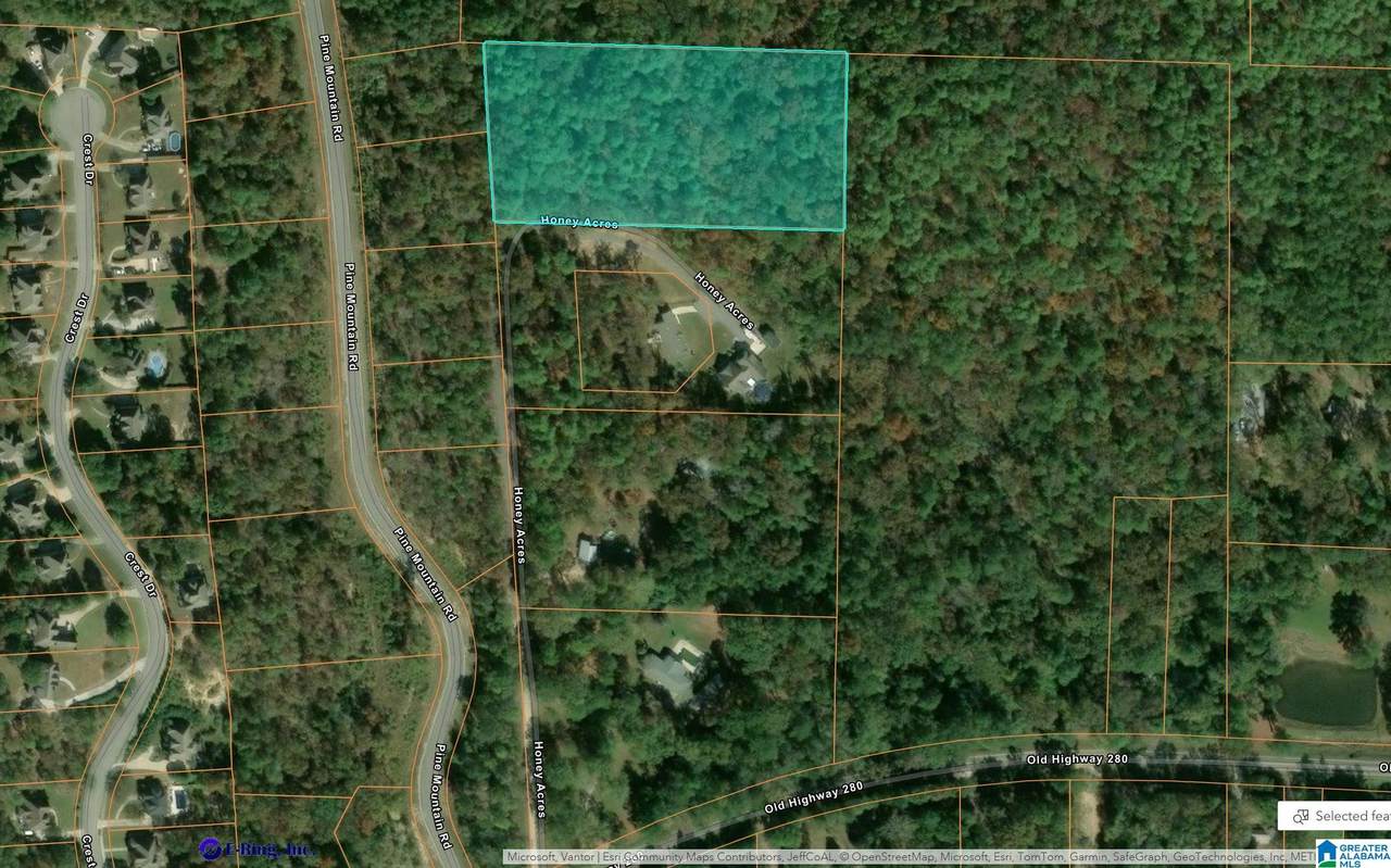 214 Honey Acres - Photo 1