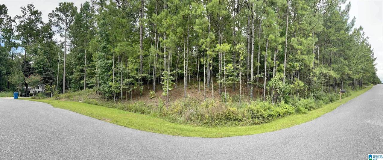 303 Baron Drive - Photo 1