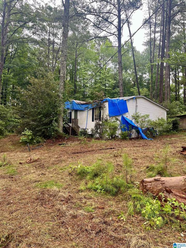 121 County Road 338 - Photo 1
