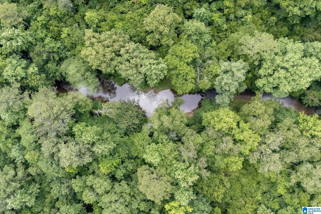 0 Waldrop Road - Photo 1