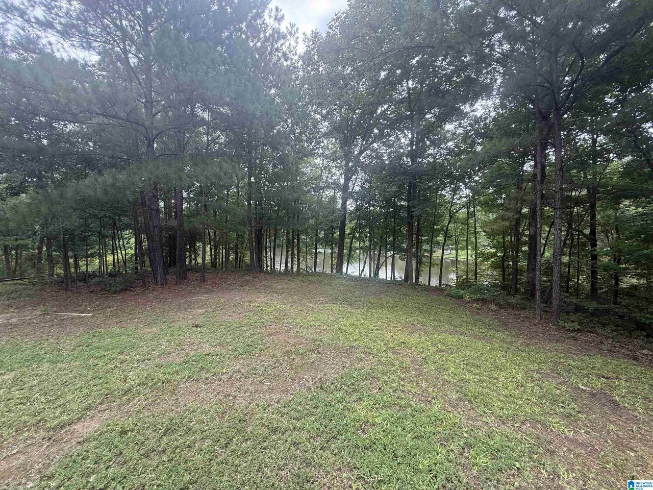 4579 Cabin Road - Photo 1