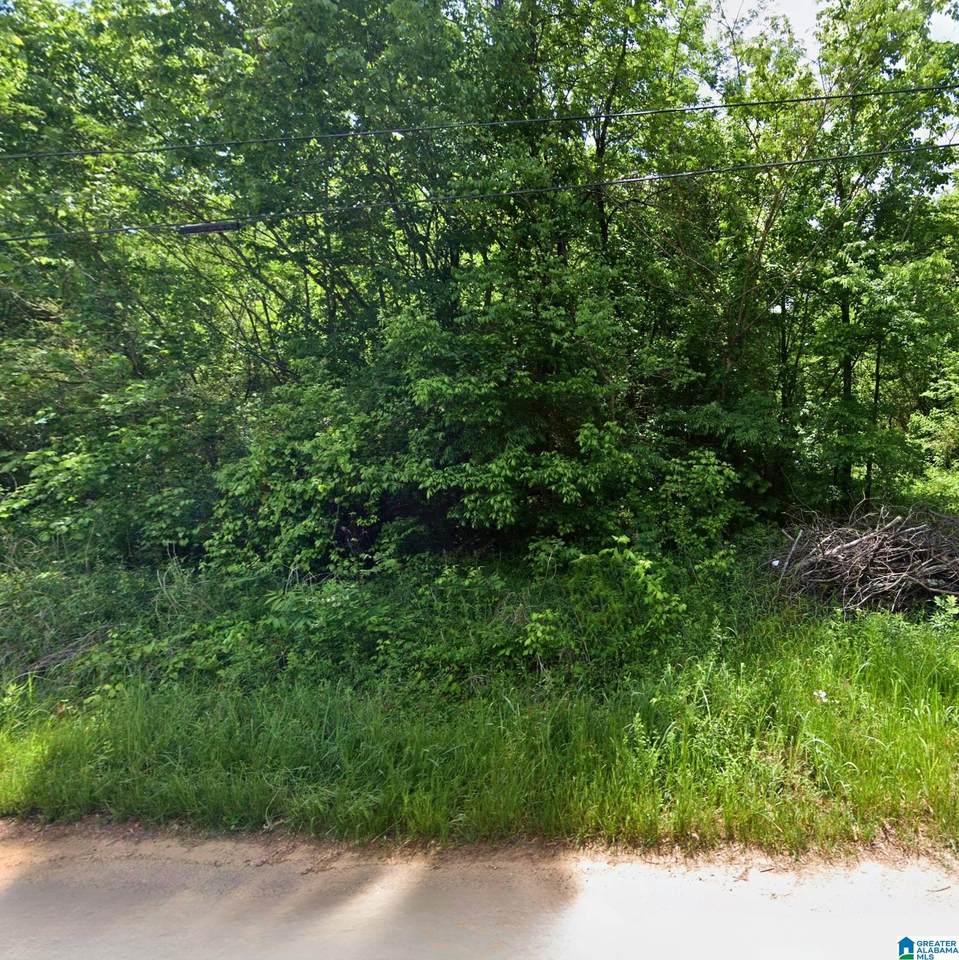 224 Pine Street - Photo 1