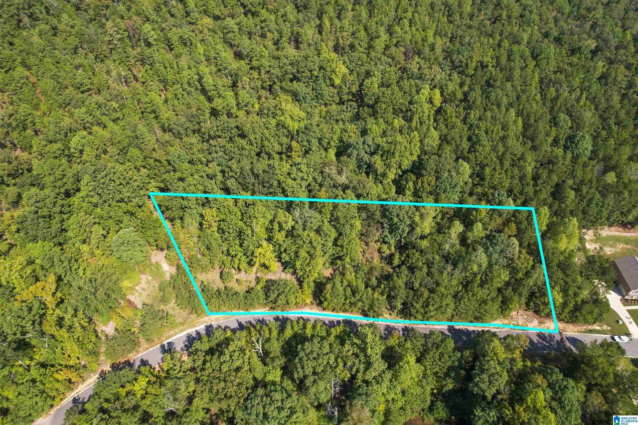 #3A Deer Ridge Drive - Photo 1