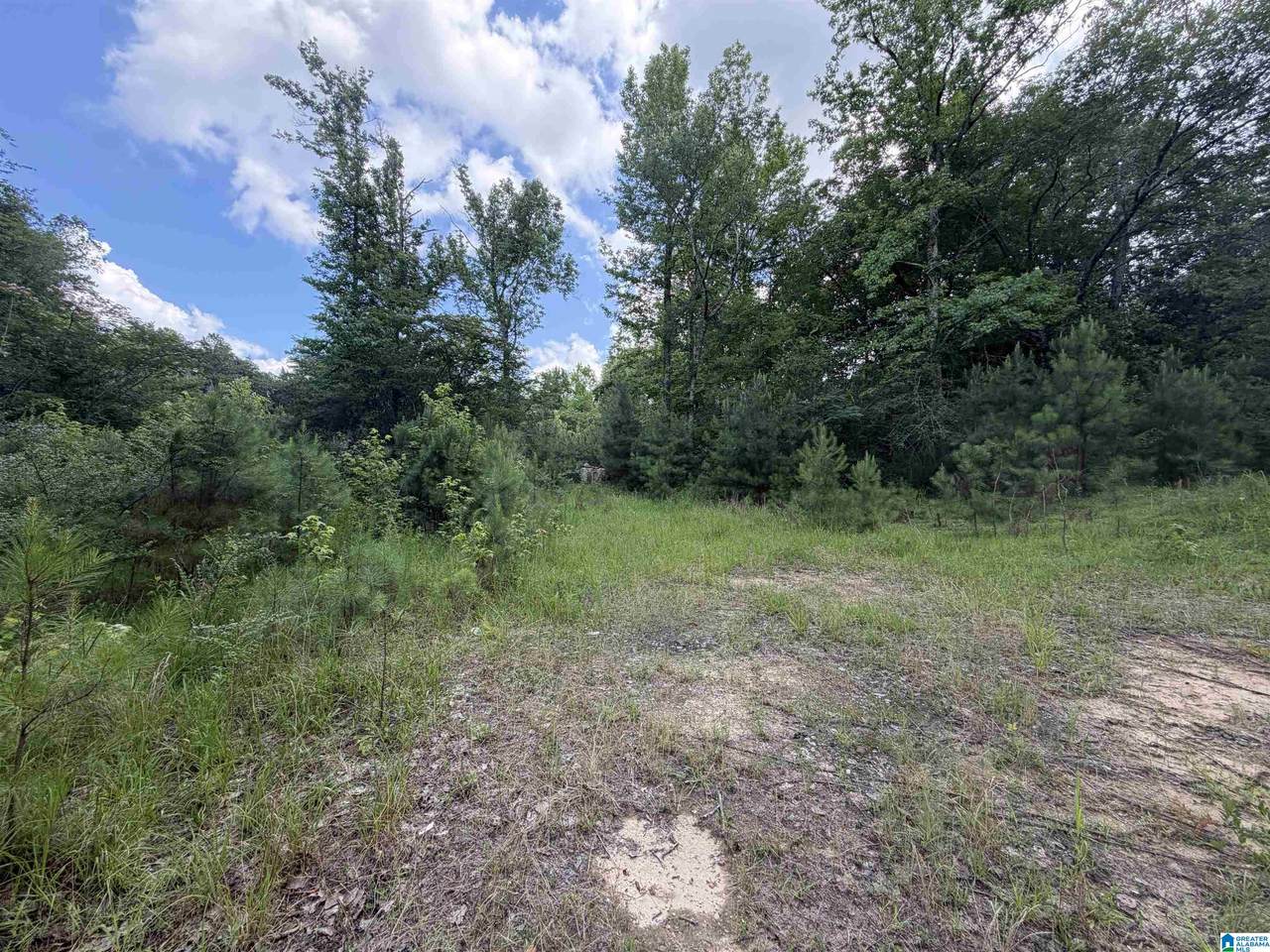 350 Oscar Bradford Road - Photo 1