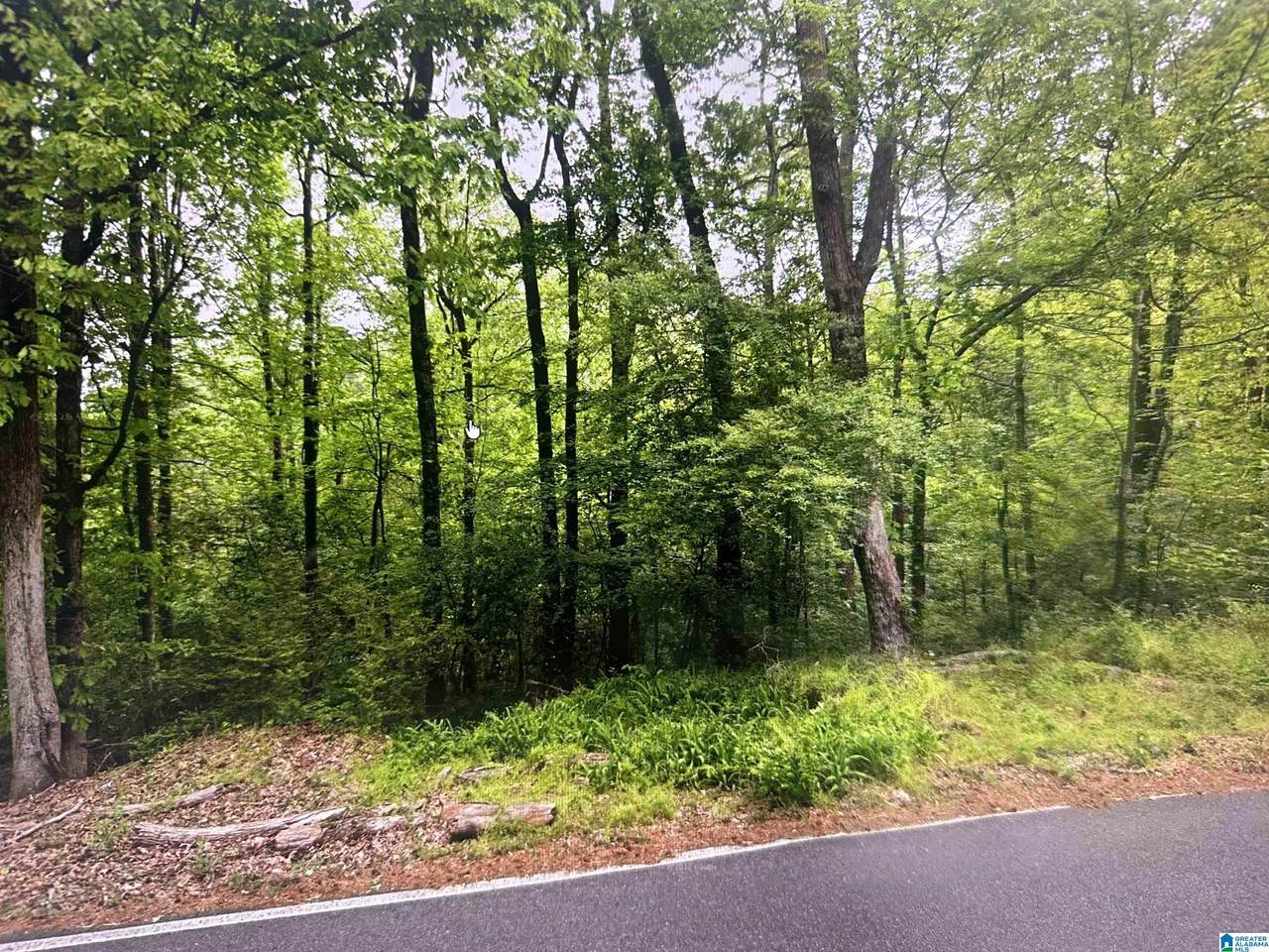 1753 Big Mountain Drive - Photo 1
