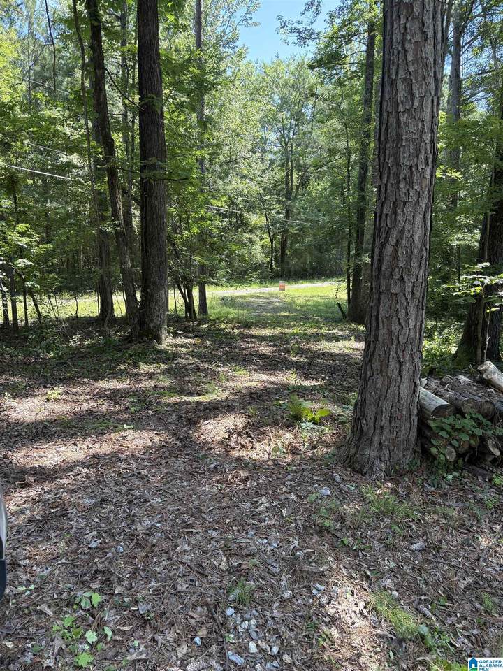 0 0 PINE GLEN ROAD - Photo 1