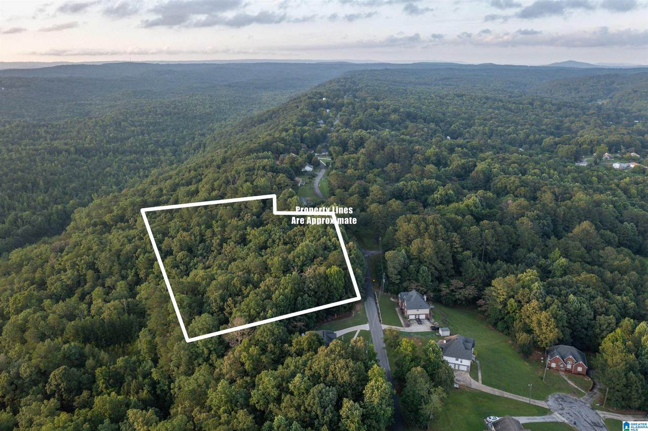 0 Levine Road - Photo 1