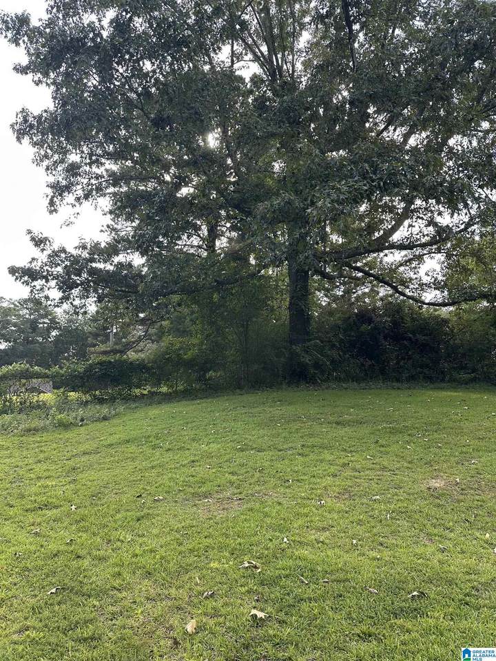 https://bt-photos.global.ssl.fastly.net/birmingham/1280_boomver_1_21457603-2.jpg