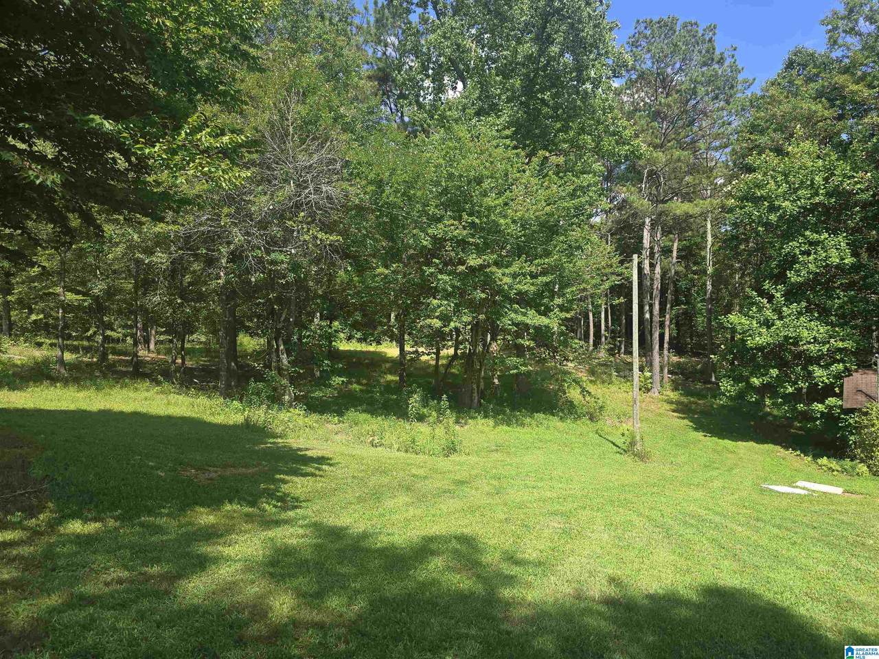 225 County Road 261 - Photo 1