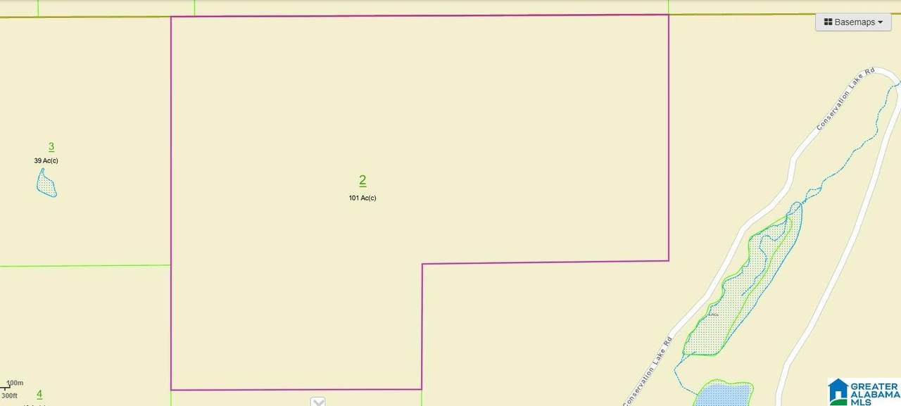 0 Buzzard Rock Road - Photo 1