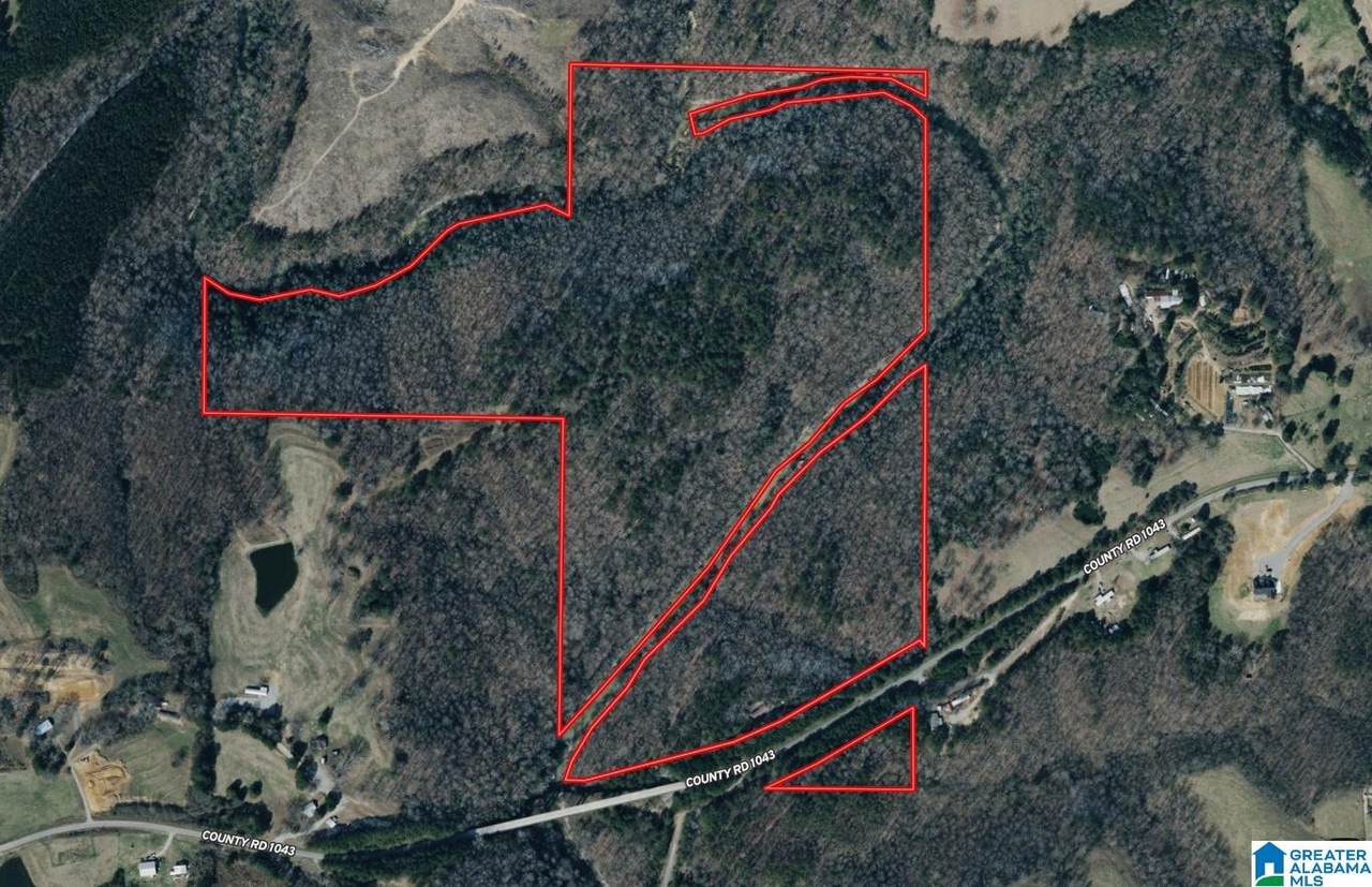91 Acres County Road 1043 - Photo 1