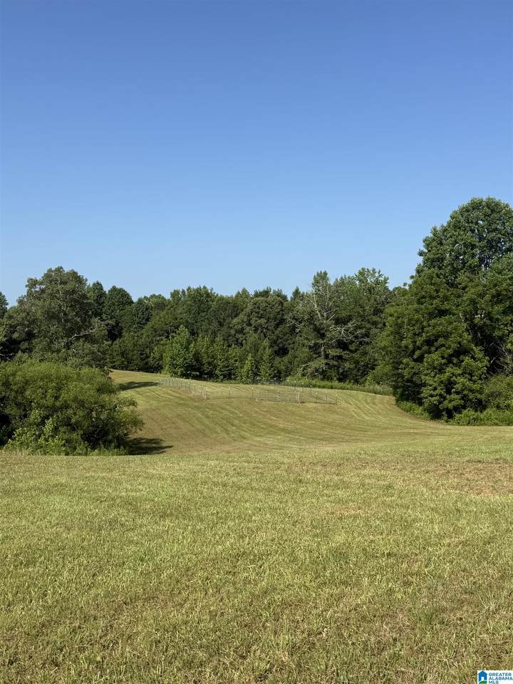 0 County Road 450 - Photo 1