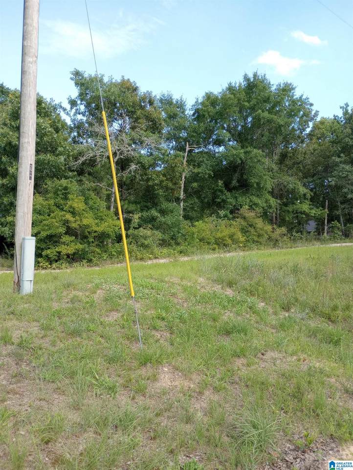195 Hyram Road - Photo 1