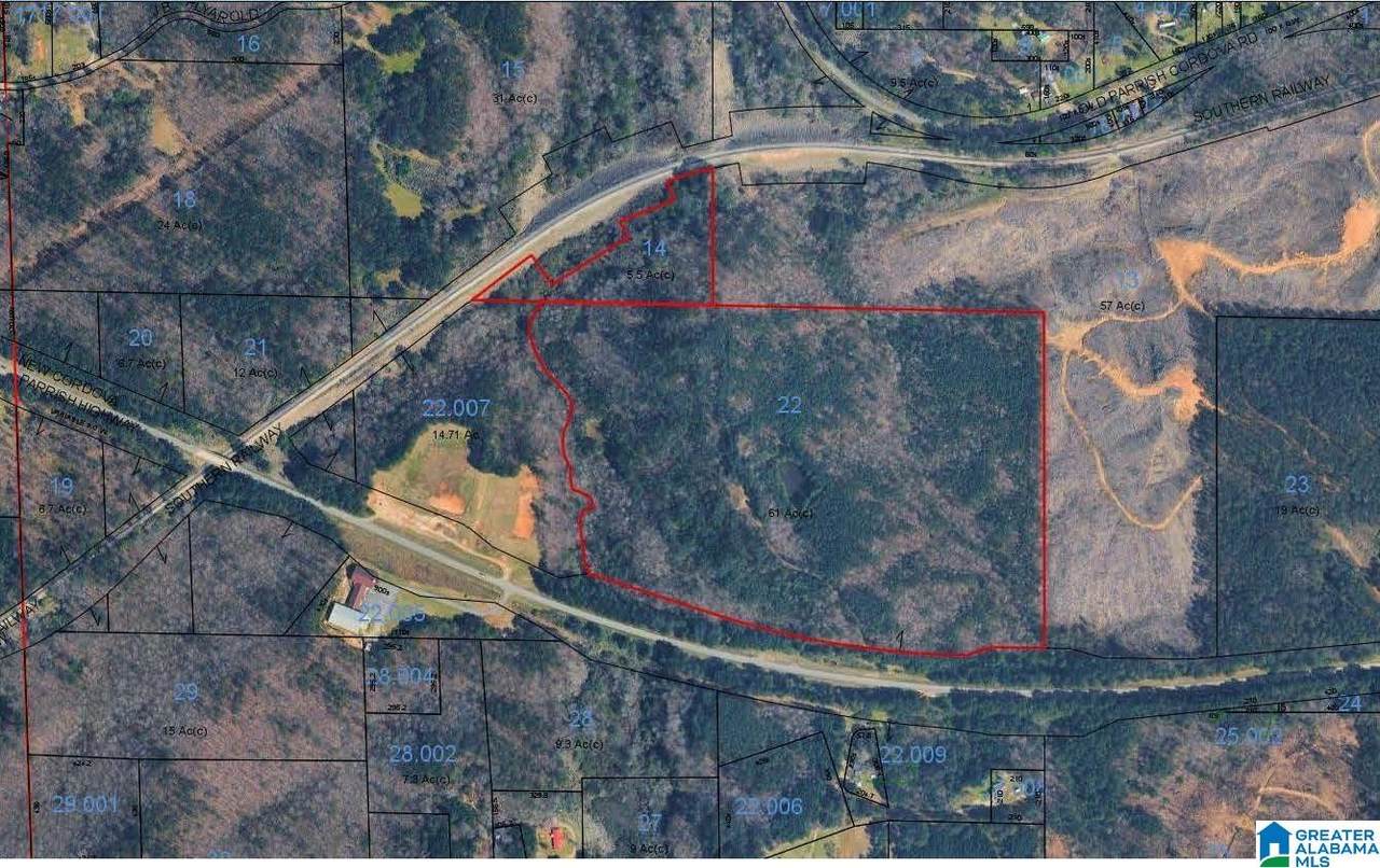 0 New Parrish Highway - Photo 1