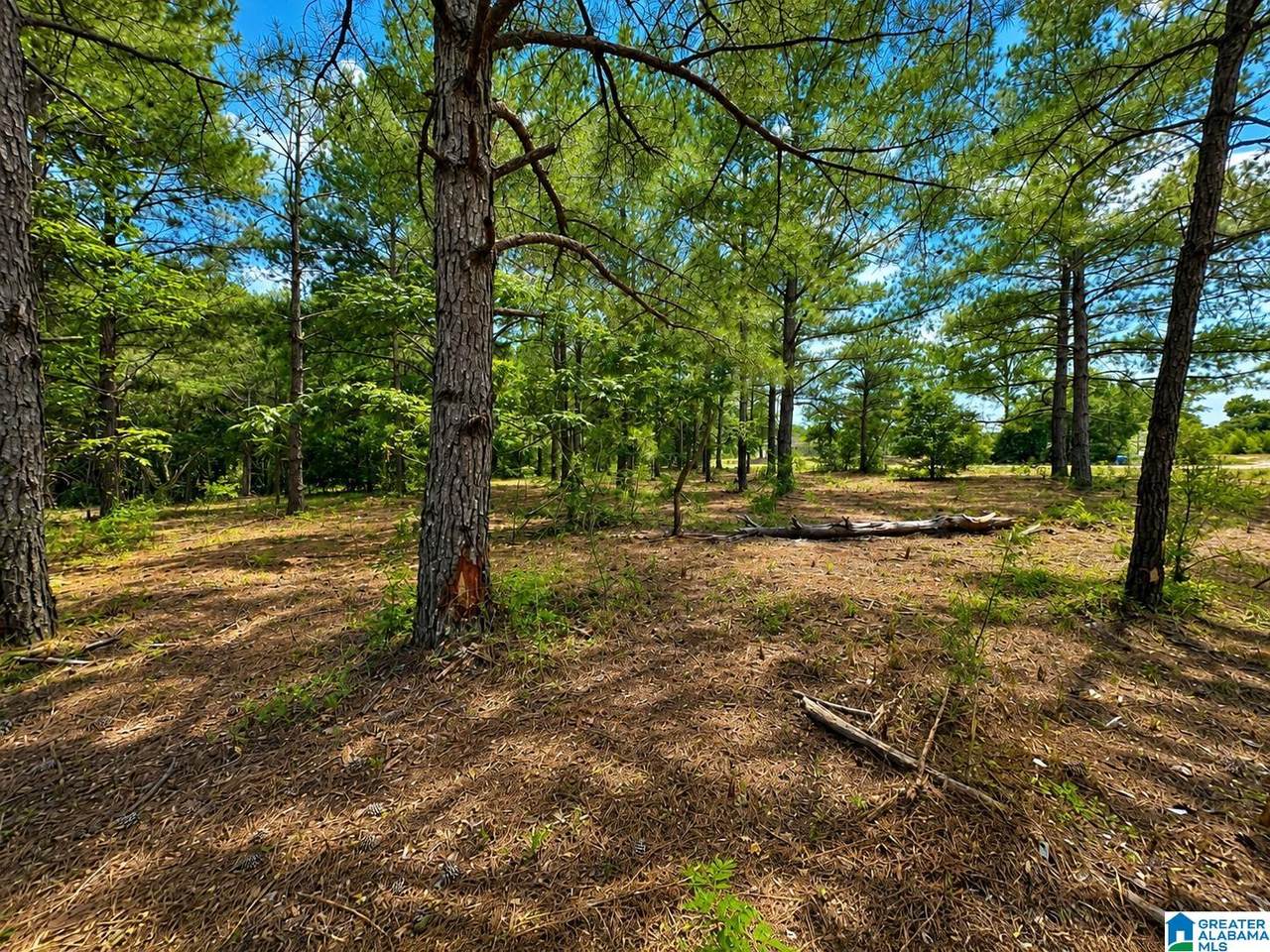 0 County Road 21 - Photo 1