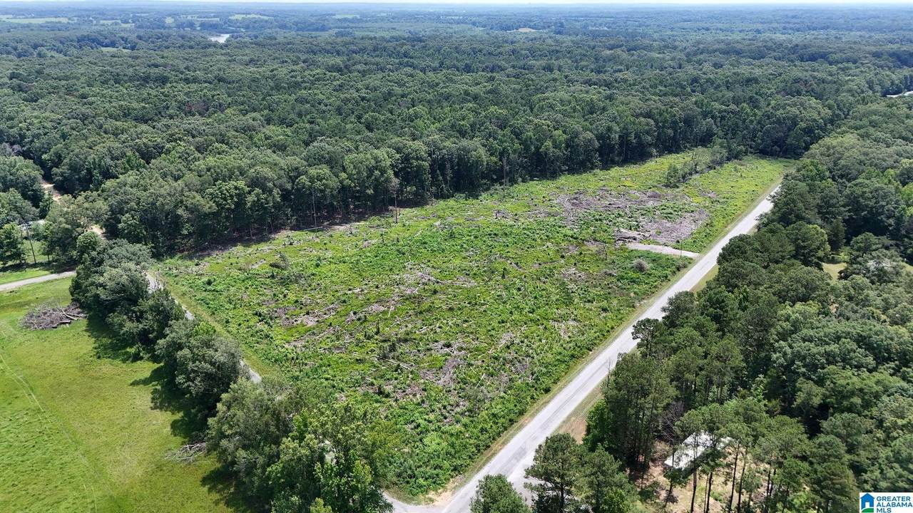 0 County Road 16 - Photo 1