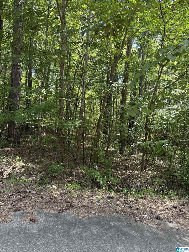 8596 Woodview Lane - Photo 1