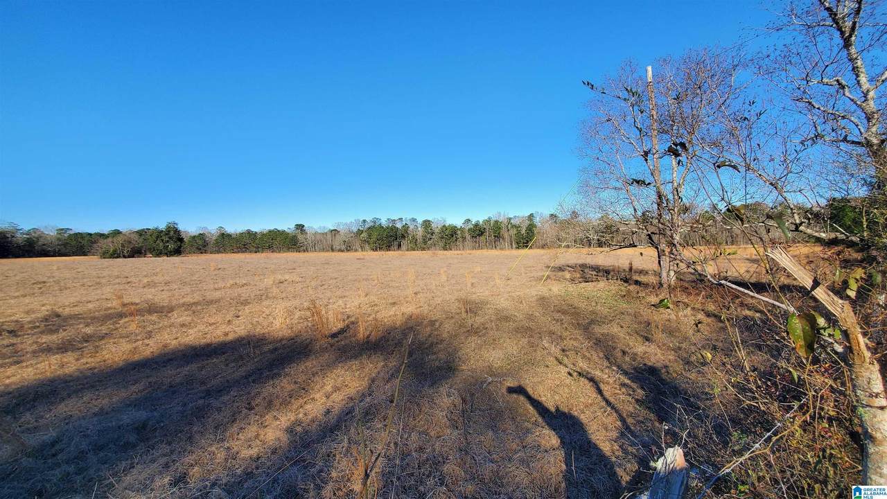  Sandtown Road - Photo 1