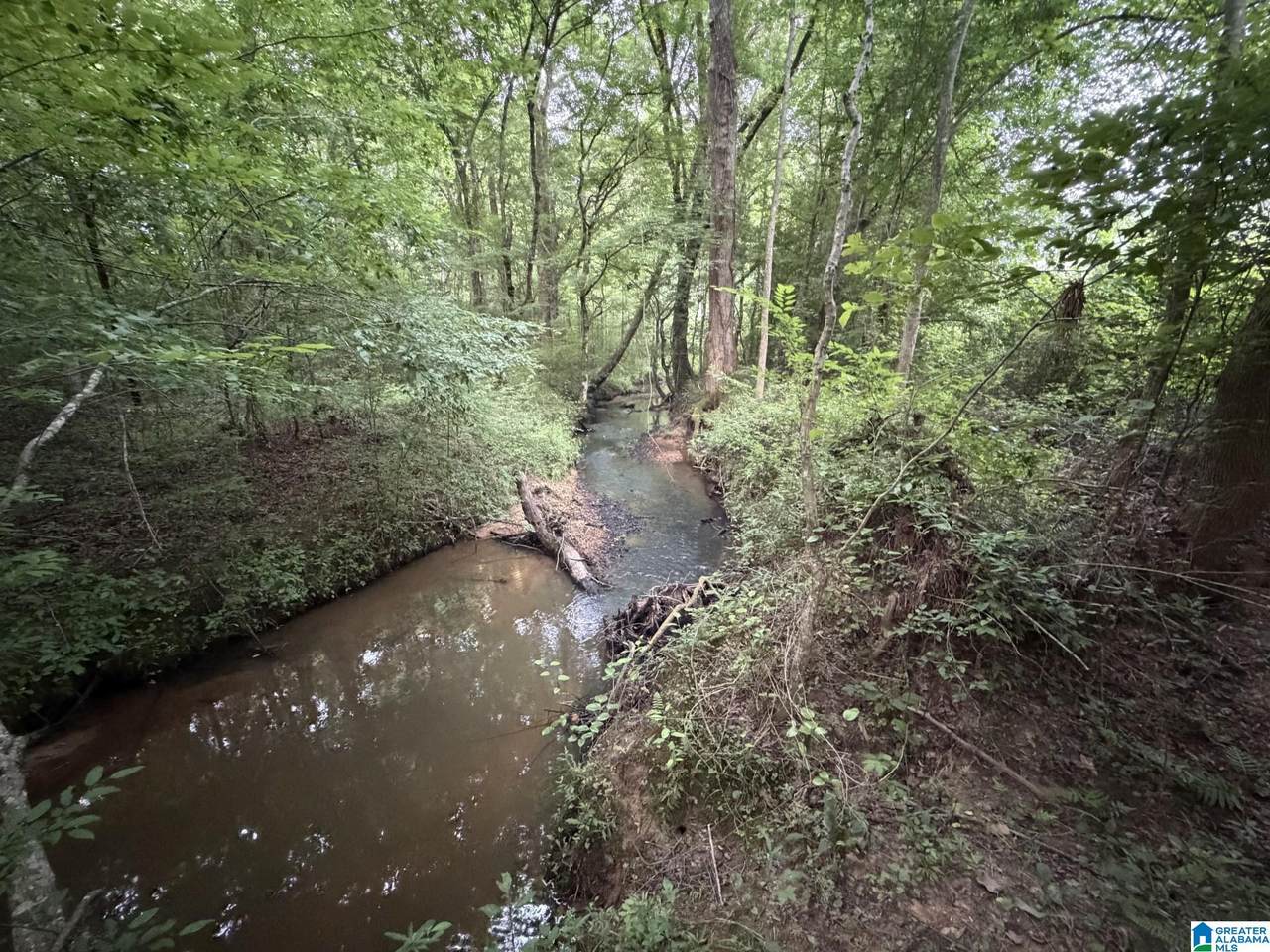 12482 County Road 19 - Photo 1