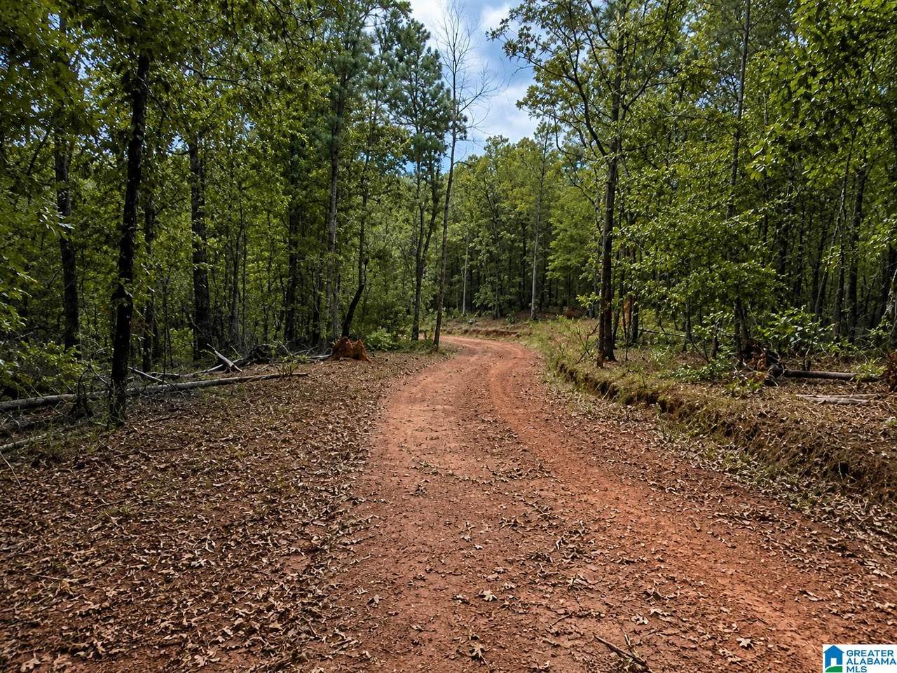 0 Smith Mill Road - Photo 1