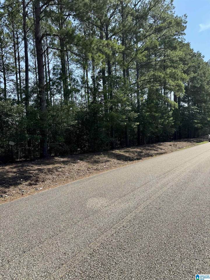 0 Center Hill Road - Photo 1