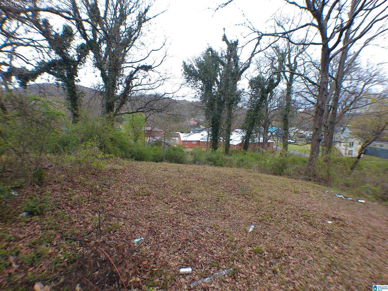 2409 Moore Avenue - Photo 1