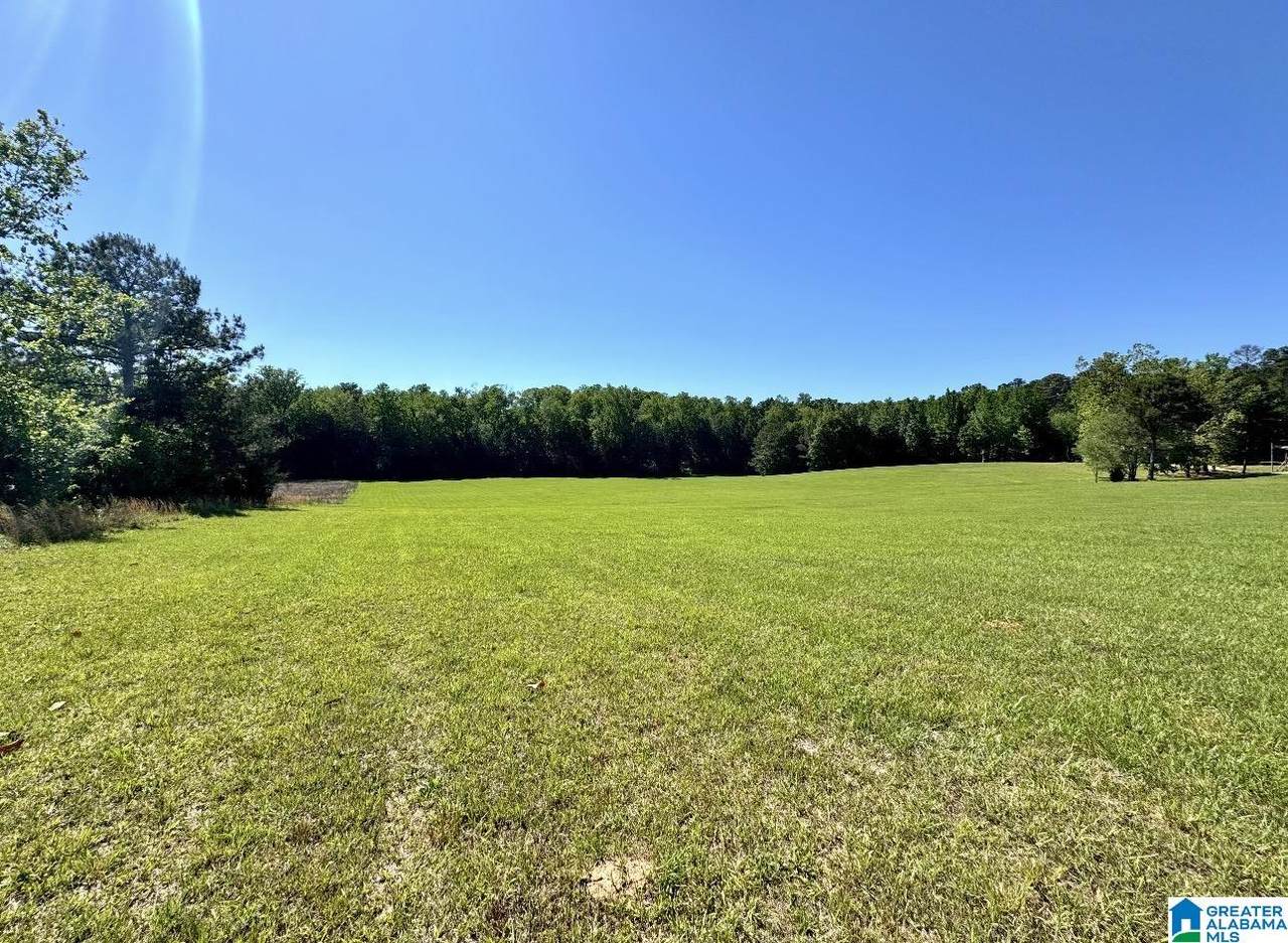 6741 County Road 87 - Photo 1