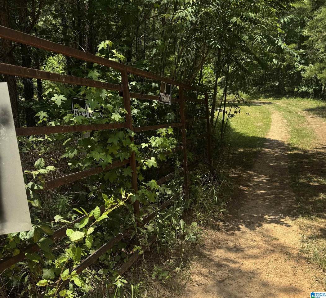 0 County Road 61 - Photo 1