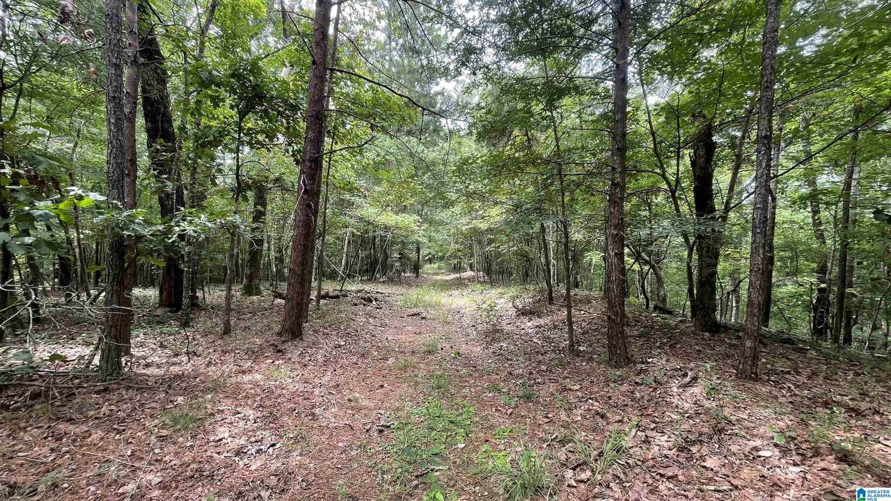 5020 Laurel Lakes Terrace - Photo 1