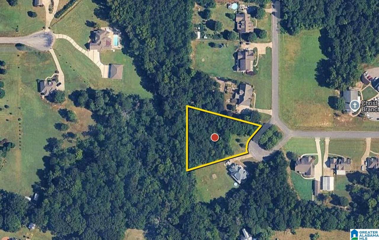 0.9 Acres Branch Cove - Photo 1