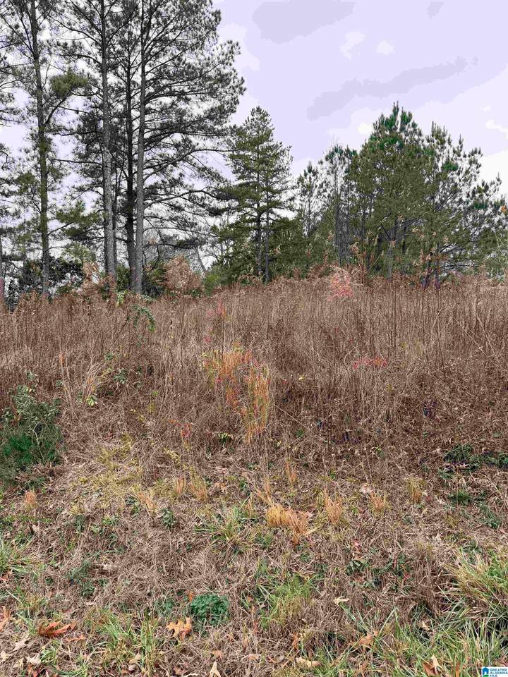 0 Indian Hills Road - Photo 1