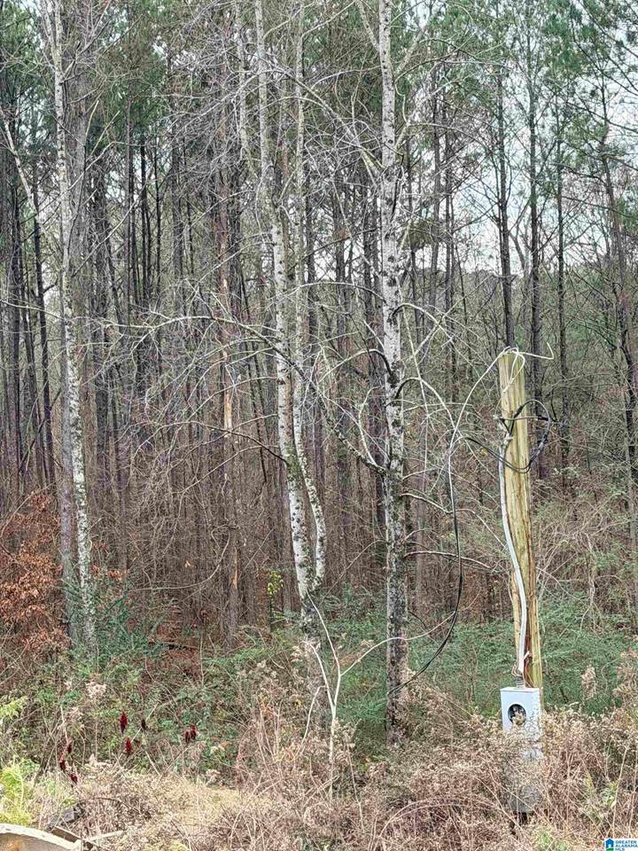 https://bt-photos.global.ssl.fastly.net/birmingham/1280_boomver_1_21459152-2.jpg