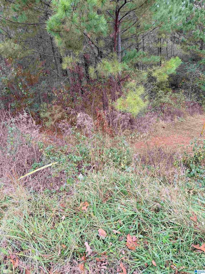 0 Armstrong Loop - Photo 1