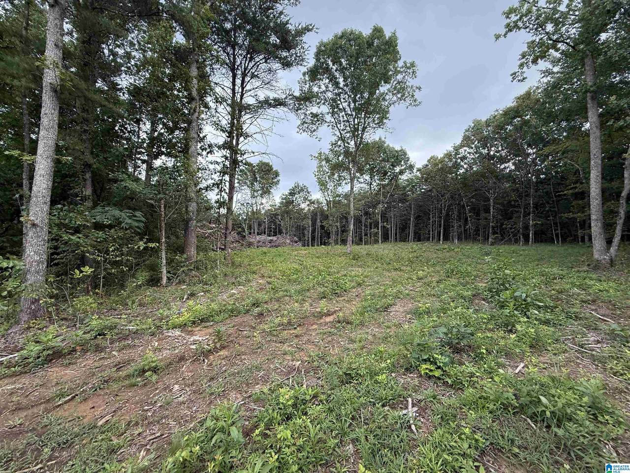 55 Mountain Brow Drive - Photo 1