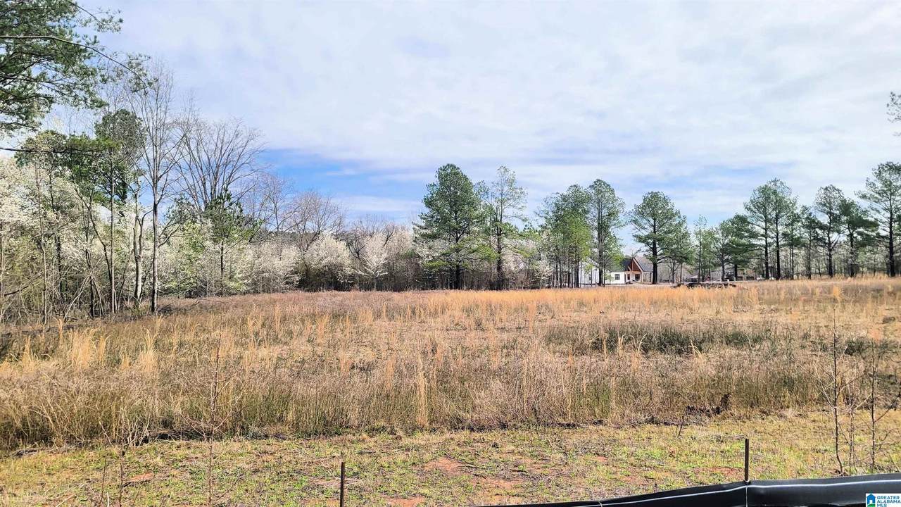 1019 Chancellors Ferry Loop - Photo 1