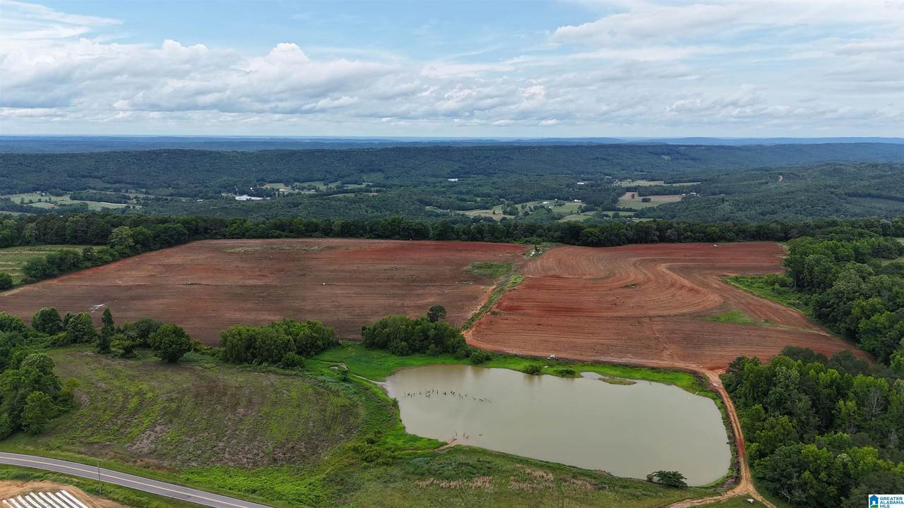 2683 County Road 42 - Photo 1